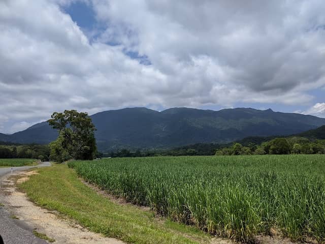 Whyanbeel Arboretum - Image 1