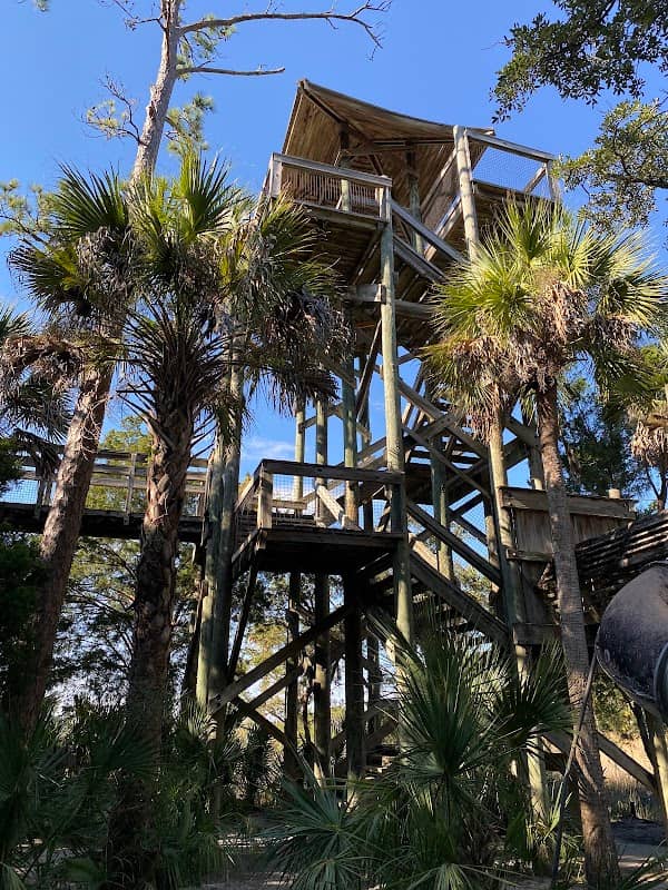 Palmetto Park Observation Tower - Image 1
