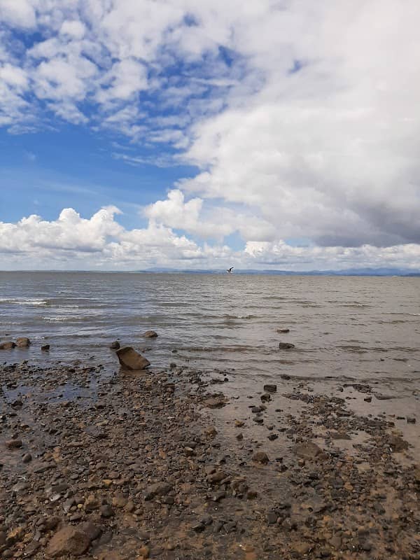 National Trust - Heysham Coastline - Image 2