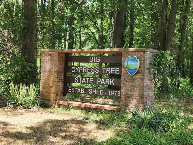 Big Cypress Tree State Park - Image 2