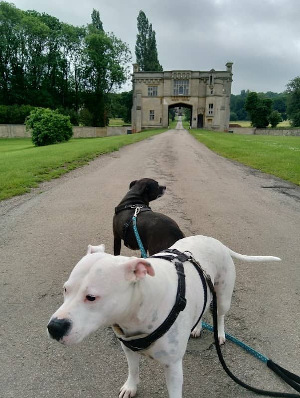 Harlaxton Recreation Ground - Image 2