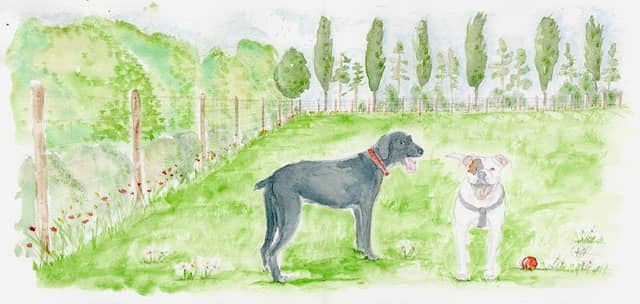 Cliffe Enclosed Dog Field - Image 1