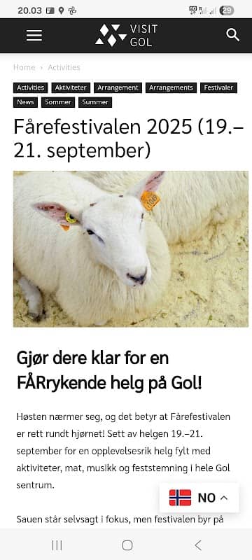 Fårefestival - Image 1