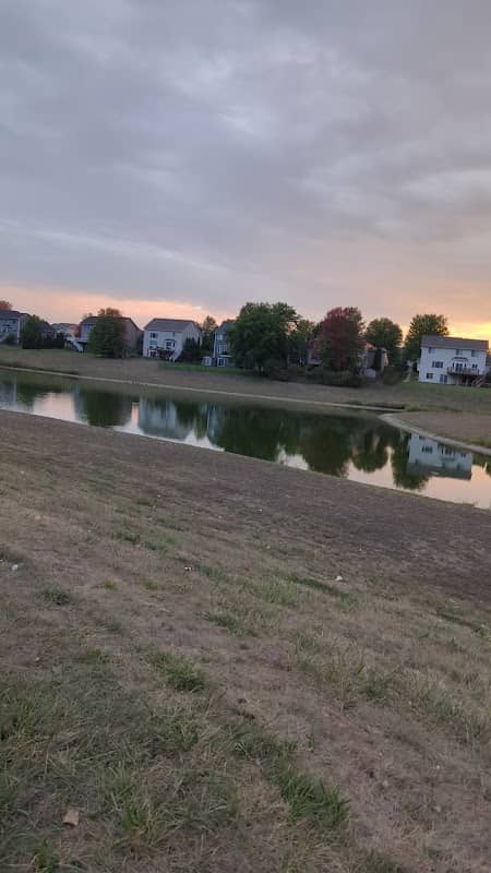 Green meadow field pond - Image 1