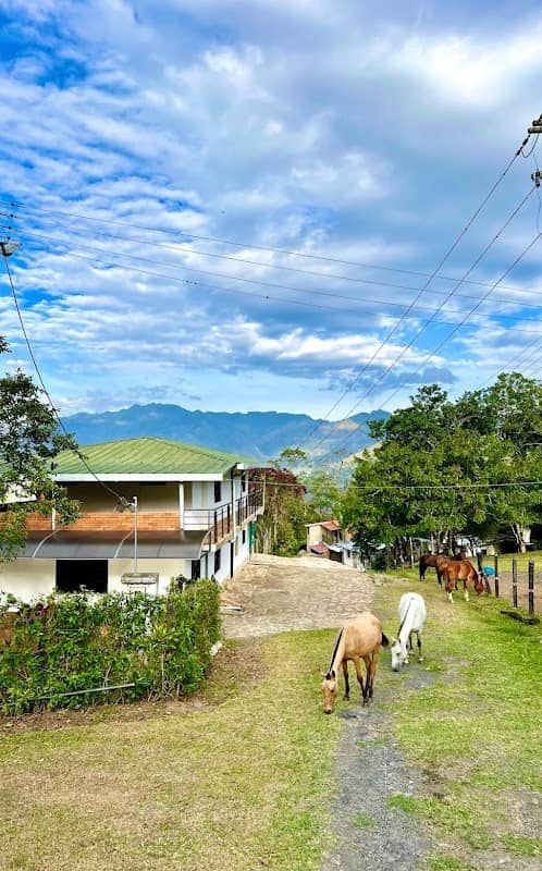 Cabalgatas ecoturísticas Manoa - Image 1