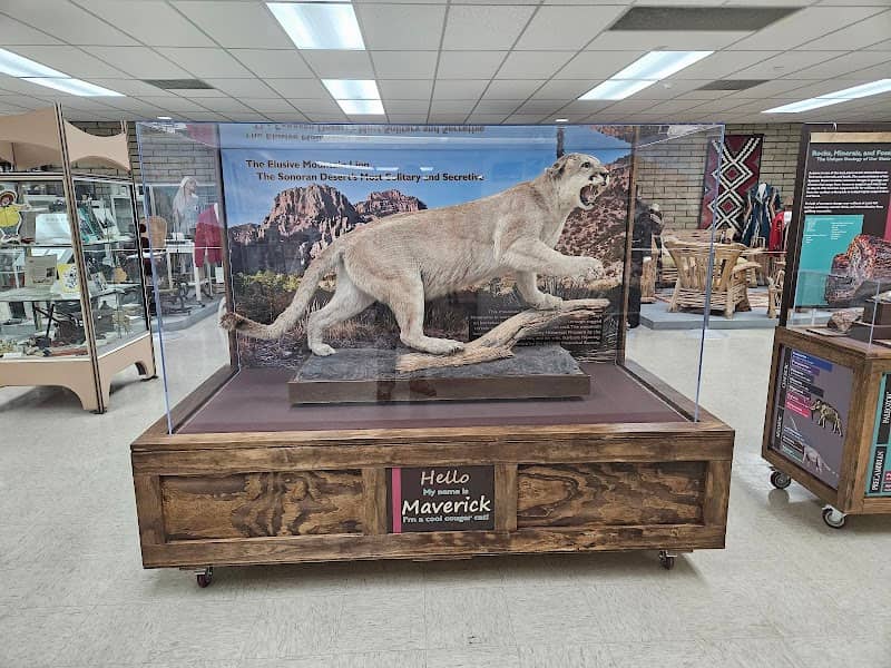 Pinal County Historical Museum - Image 2