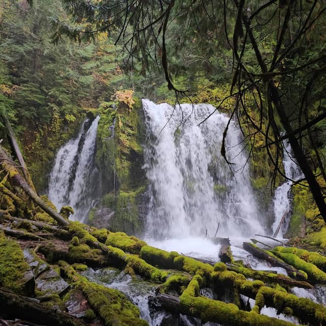 Downing Creek Falls - Image 2