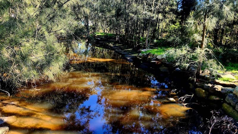 Tonbridge Street Reserve - Image 2