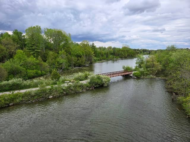 Black Bridge - Image 2