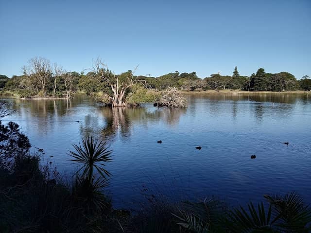 Lachlan Swamp - Image 3