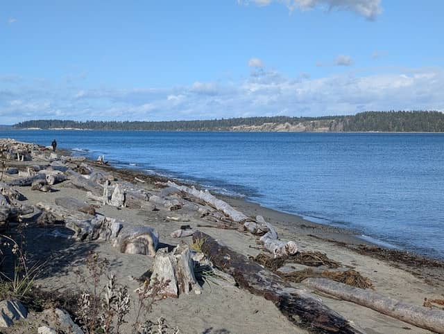 Island View Beach Regional Park - Image 1