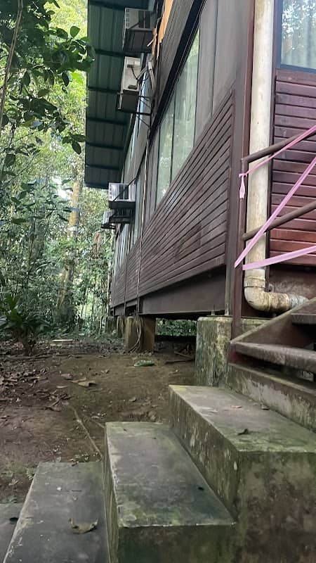 Oficina USFQ Tiputini Biodiversity Station - Image 3