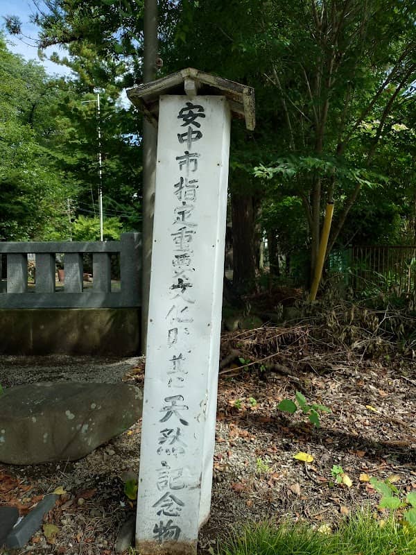 熊野神社の大欅 - Image 1