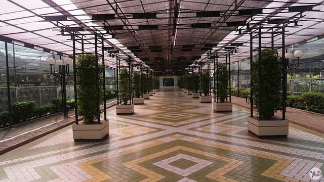 Orchid Park Indonesia Permai - Image 1