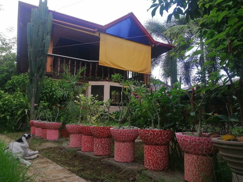 French hauz Garden - Image 1