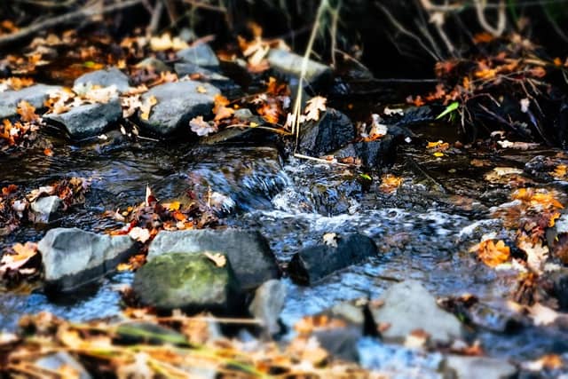 College Creek path - Image 1