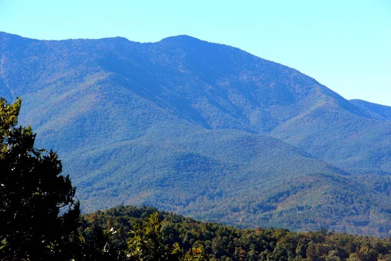Celo Knob - Image 1