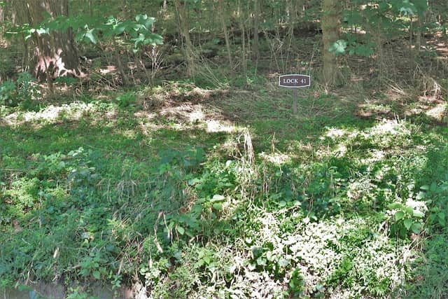C&O Canal Lock 41 - Image 3