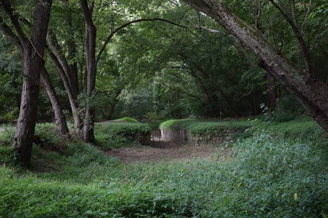 C&O Canal Lock 41 - Image 2