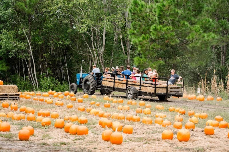Sellito Farms - Image 1