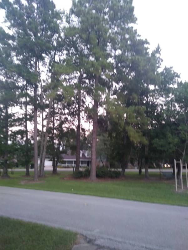 J L Schroeder Park - Image 2