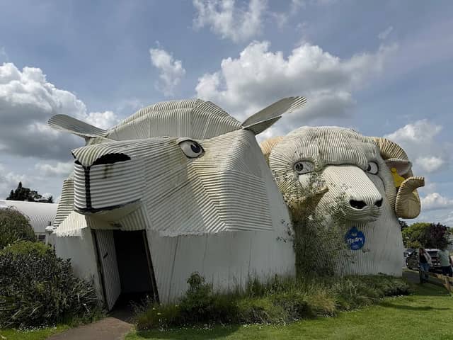 Big Dog and Sheep - Image 1