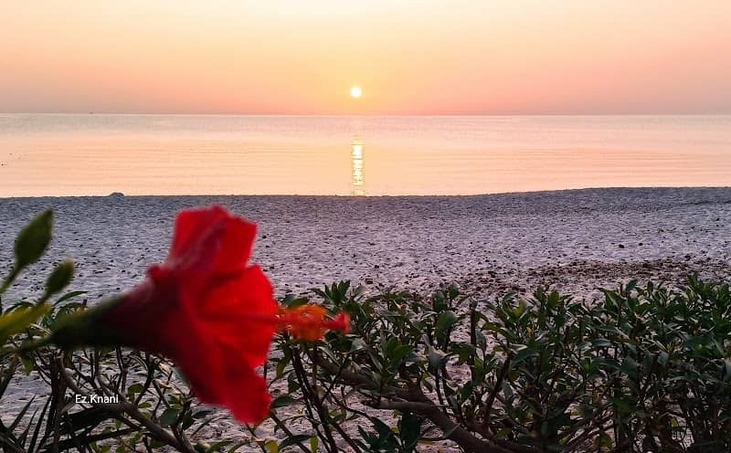 Beach View - Image 2