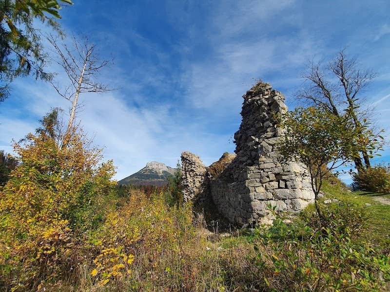 Ruine Pflindsberg - Image 1