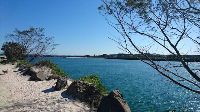 Richmond River Nature Reserve - Image 1