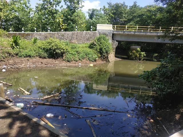 Sungai Desa Siyono - Image 2