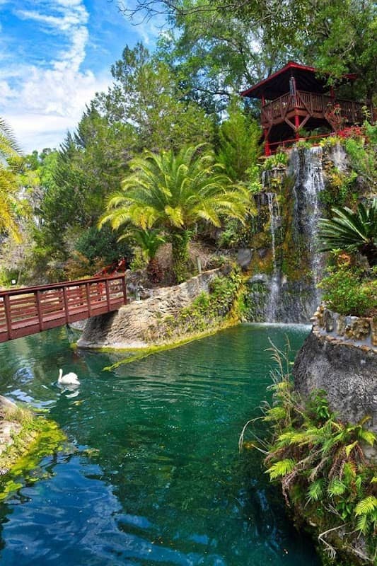 Cedar Lakes Woods and Gardens - Image 2