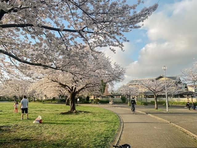 Aoigaoka Park - Image 1