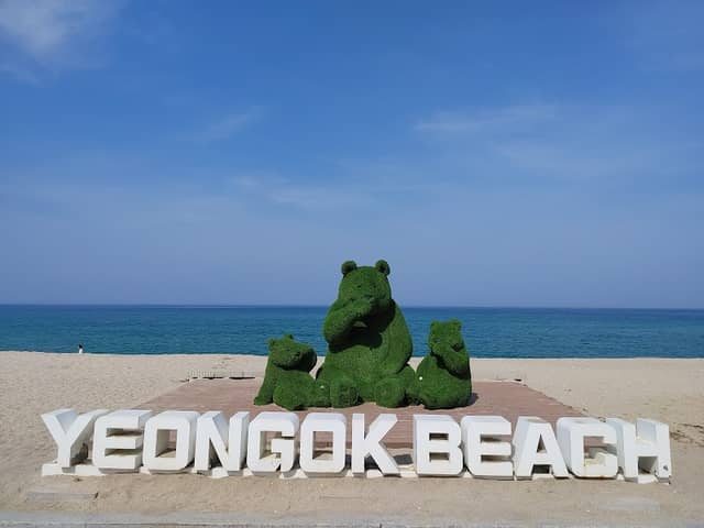 연곡해변 - Image 1