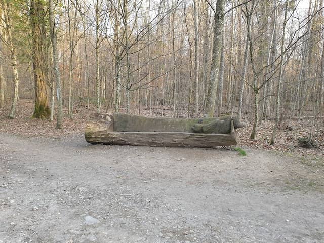 Banc OURS de la forêt de Vernand - Image 1