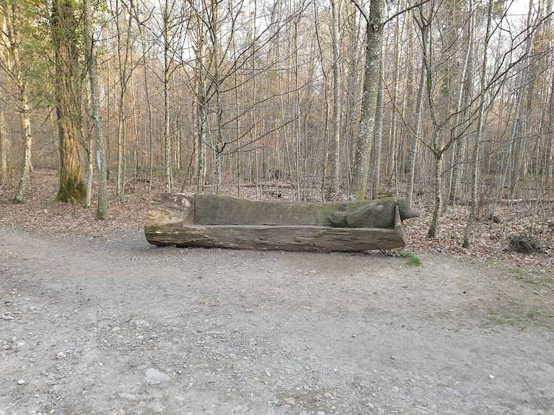 Banc OURS de la forêt de Vernand - Image 1