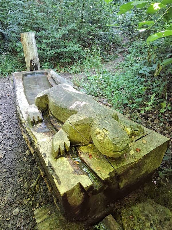 Banc OURS de la forêt de Vernand - Image 2