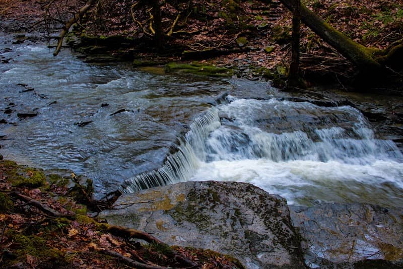 Finger Lakes Trail - Bainbridge - Image 1