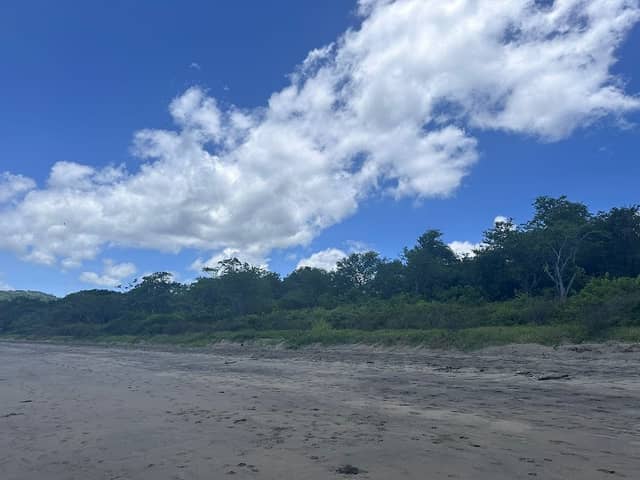Playa Matapalo (RIU) - Image 1