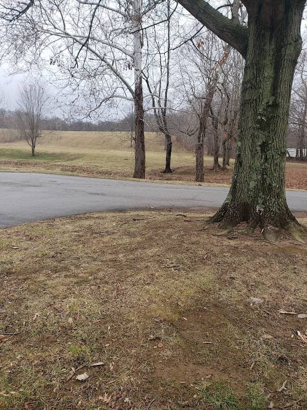Mosley Park - Image 1