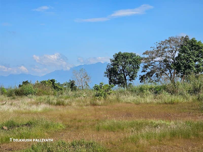 Eachil mala view point - Image 1