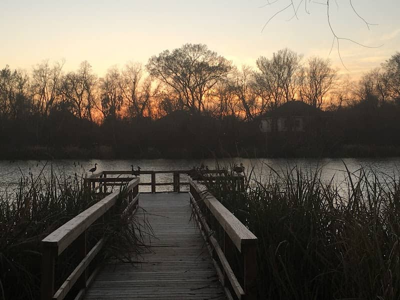 Freedom Tree Park - Image 2