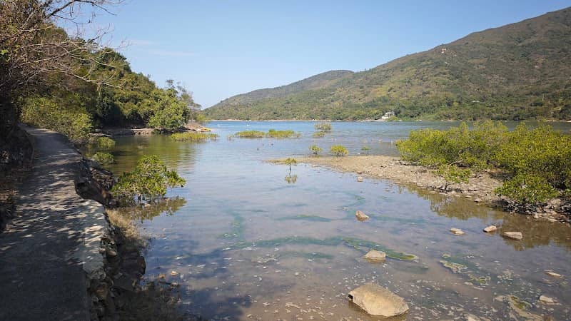 Lai Chi Chong Campsite - Image 1