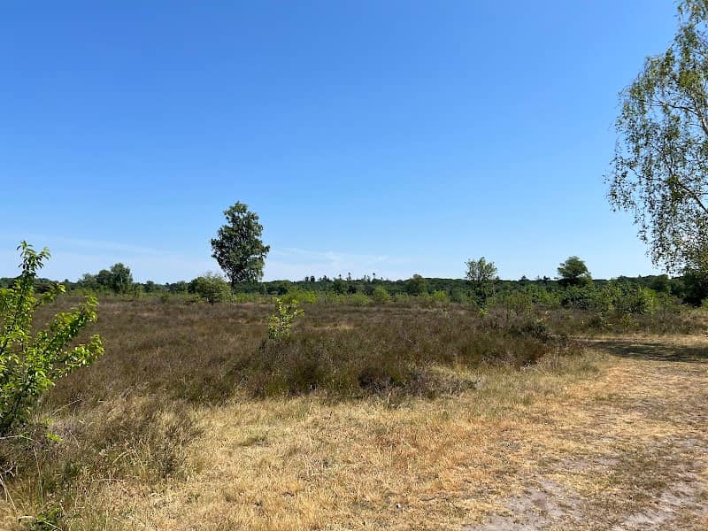 Groevenbeekse Vennen. - Image 2