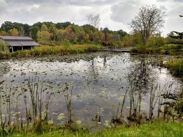 A.C.C. Moebius Nature Center - Image 1