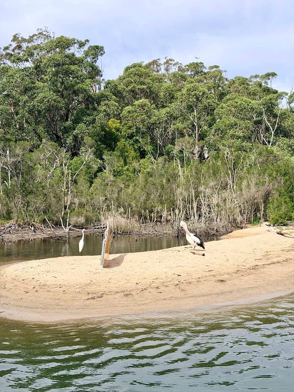 Box's Creek - Image 1
