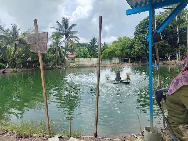 Kolam pancing air masin Fadzil - Image 1
