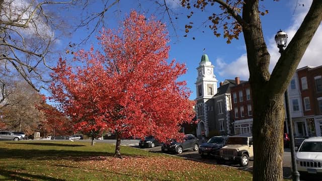 Litchfield - Image 2