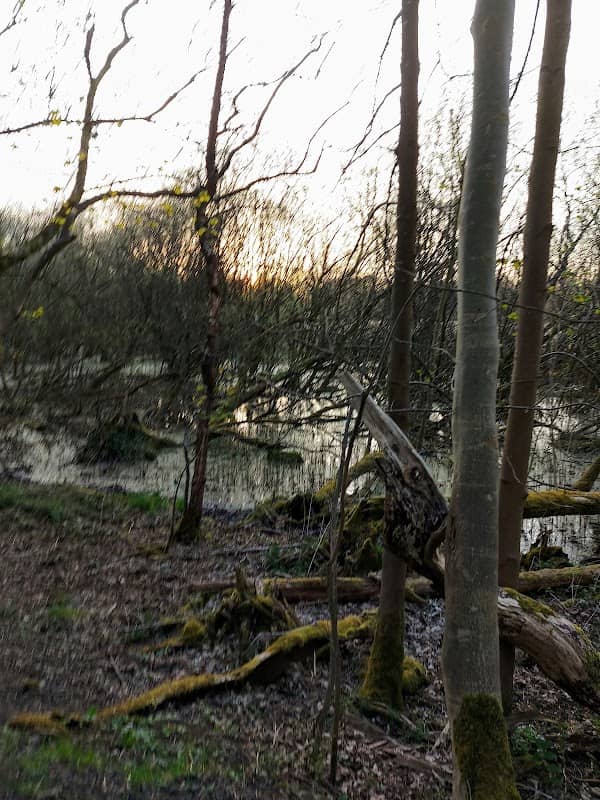 Carron Dams - Image 2