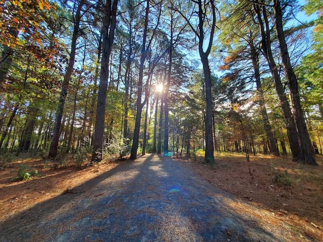 Hendrix Creek Preserve - Image 2