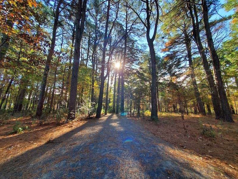 Hendrix Creek Preserve - Image 2